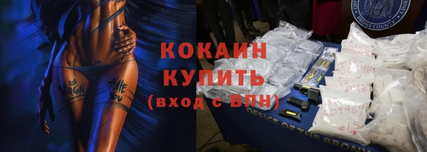 мет Дмитров