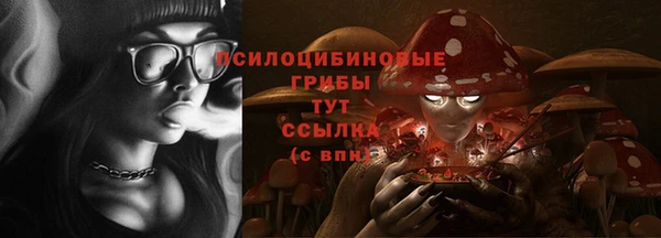 мет Дмитров