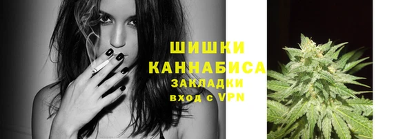 ПСИЛОЦИБИНОВЫЕ ГРИБЫ Дмитровск