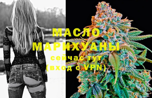 мет Дмитров