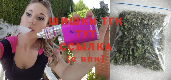 мет Дмитров