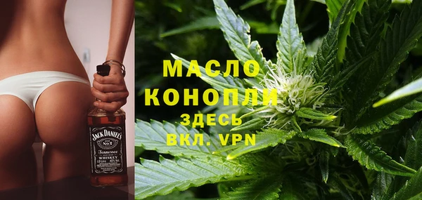 мет Дмитров