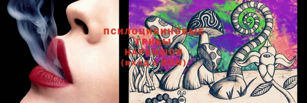 таблы Дмитриев
