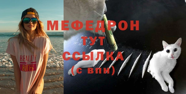 мет Дмитров