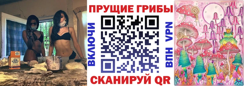 OMG как войти  Новоуральск  Галлюциногенные грибы мицелий  как найти  